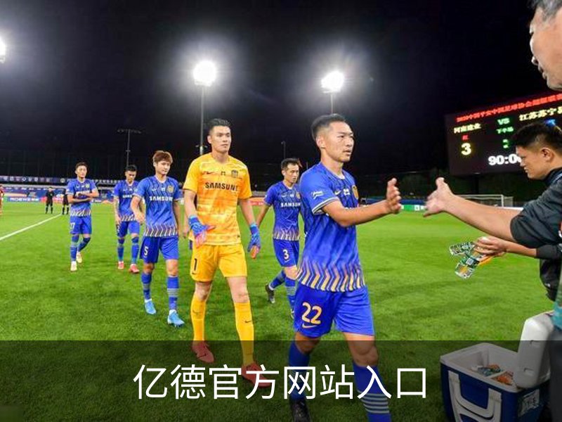亿德官方网站入口简介